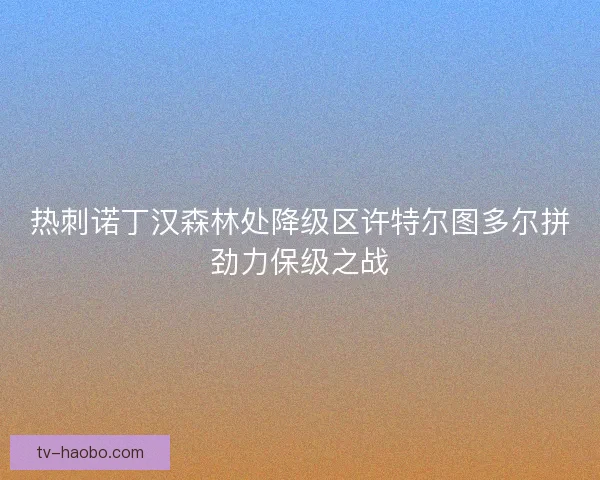 热刺诺丁汉森林处降级区许特尔图多尔拼劲力保级之战